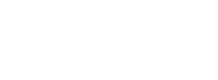 Dantwa Full Logo